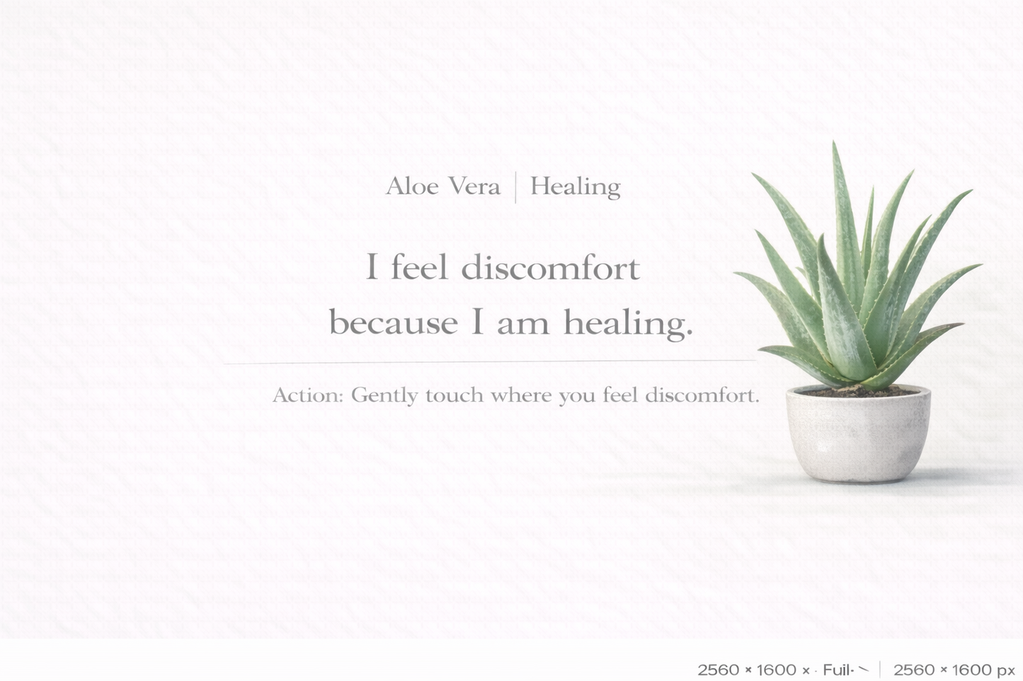 Gentle Plant Affirmation Wallpapers – Calm Desktop Backgrounds (12)