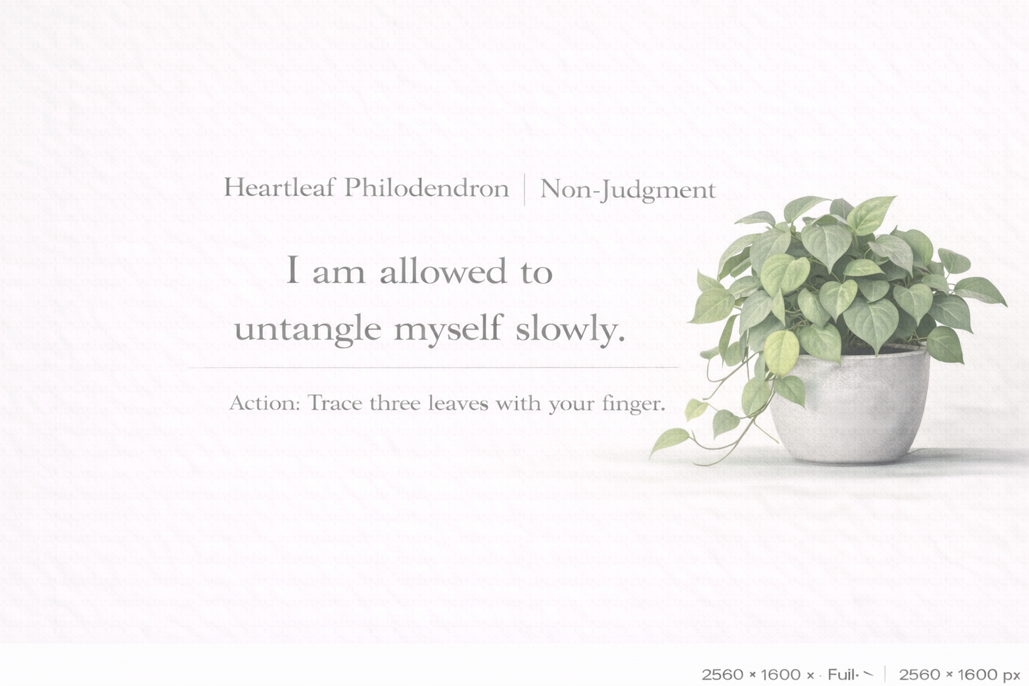 Gentle Plant Affirmation Wallpapers – Calm Desktop Backgrounds (12)