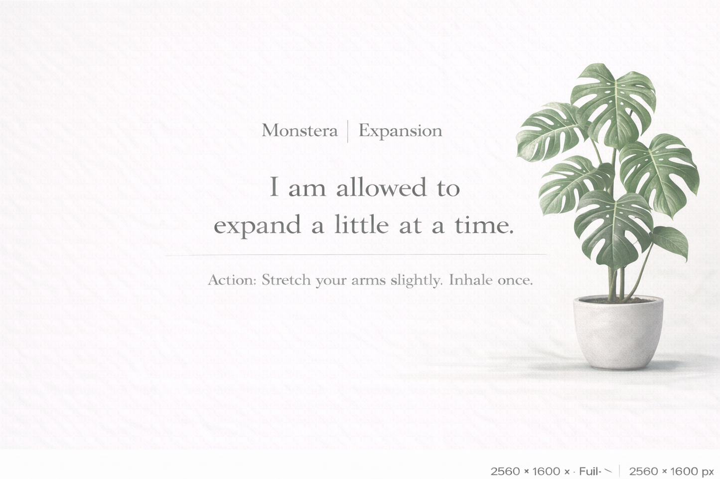 Gentle Plant Affirmation Wallpapers – Calm Desktop Backgrounds (12)