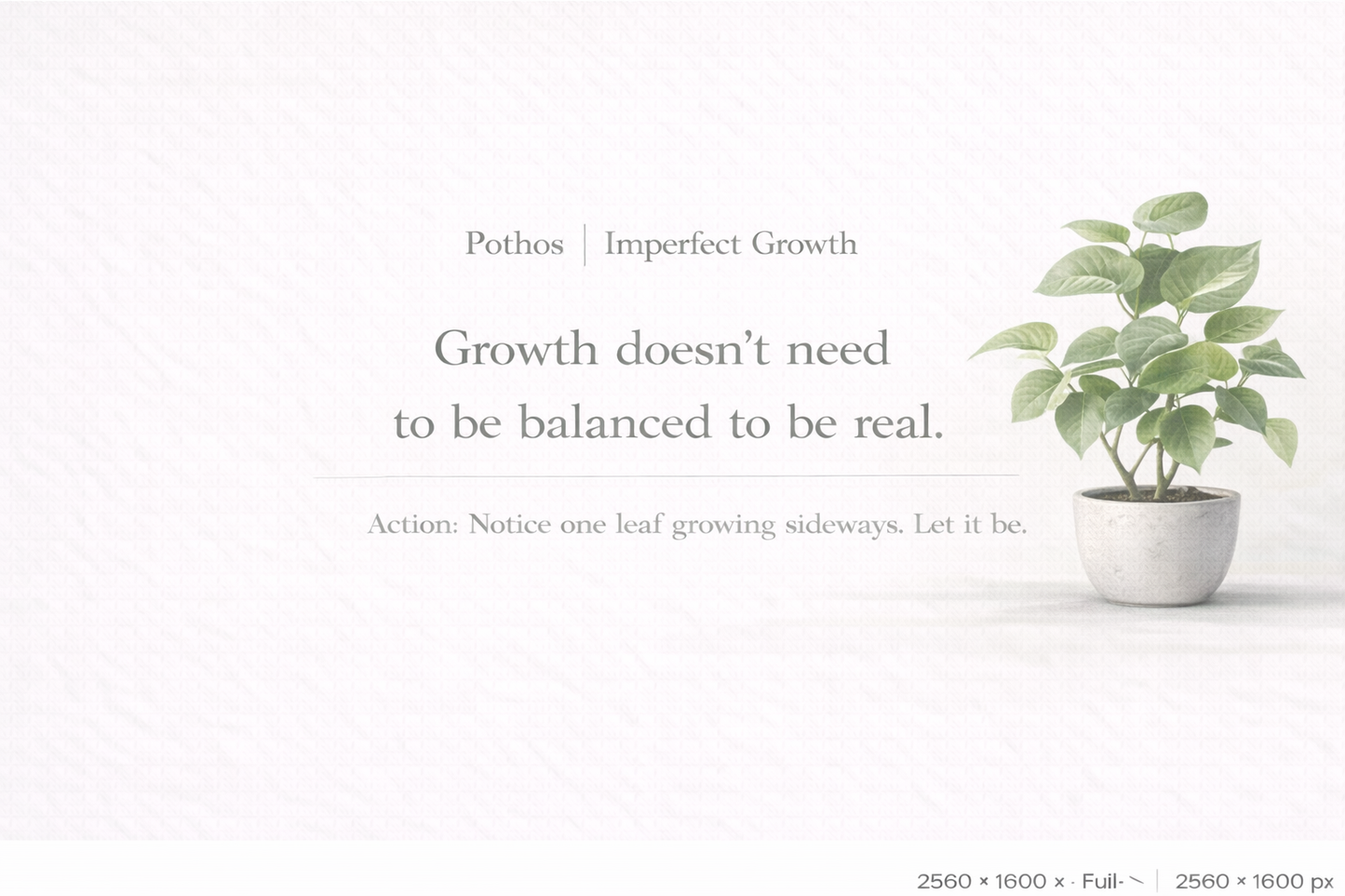 Gentle Plant Affirmation Wallpapers – Calm Desktop Backgrounds (12)