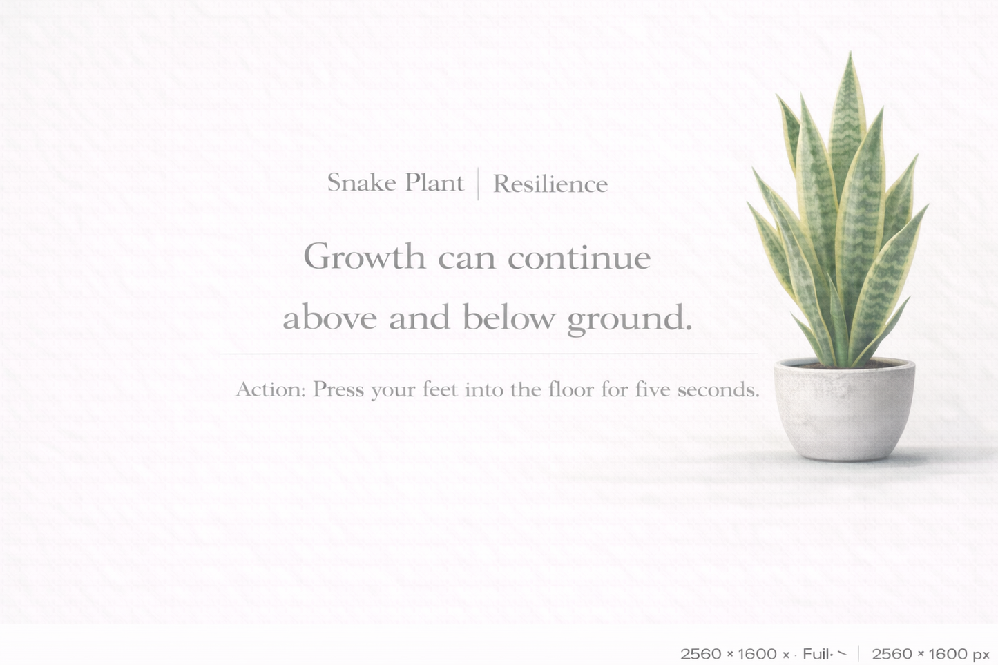 Gentle Plant Affirmation Wallpapers – Calm Desktop Backgrounds (12)